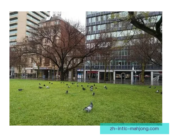 南阿德莱德黑豹后备队以0比3不敌阿德莱德蓝鹰后备队遭遇失利